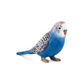 Picture for category Bird Products