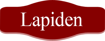 Picture for manufacturer LAPİDEN