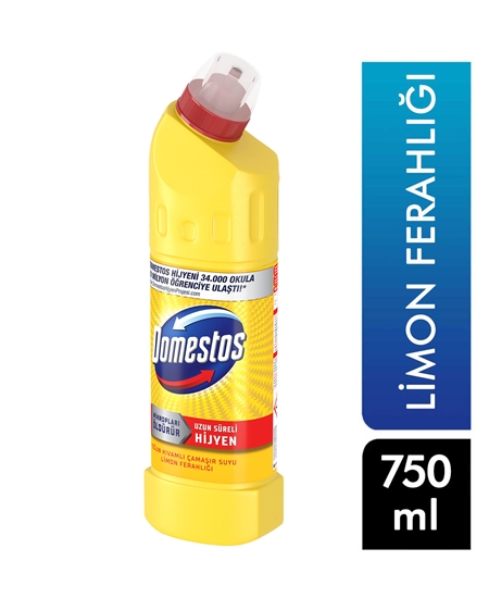 Picture of  Domestos Bleach 750 ml Lemon Fresh