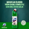 Picture of Domestos Çamaşır Suyu 750 ml Dağ Esintisi